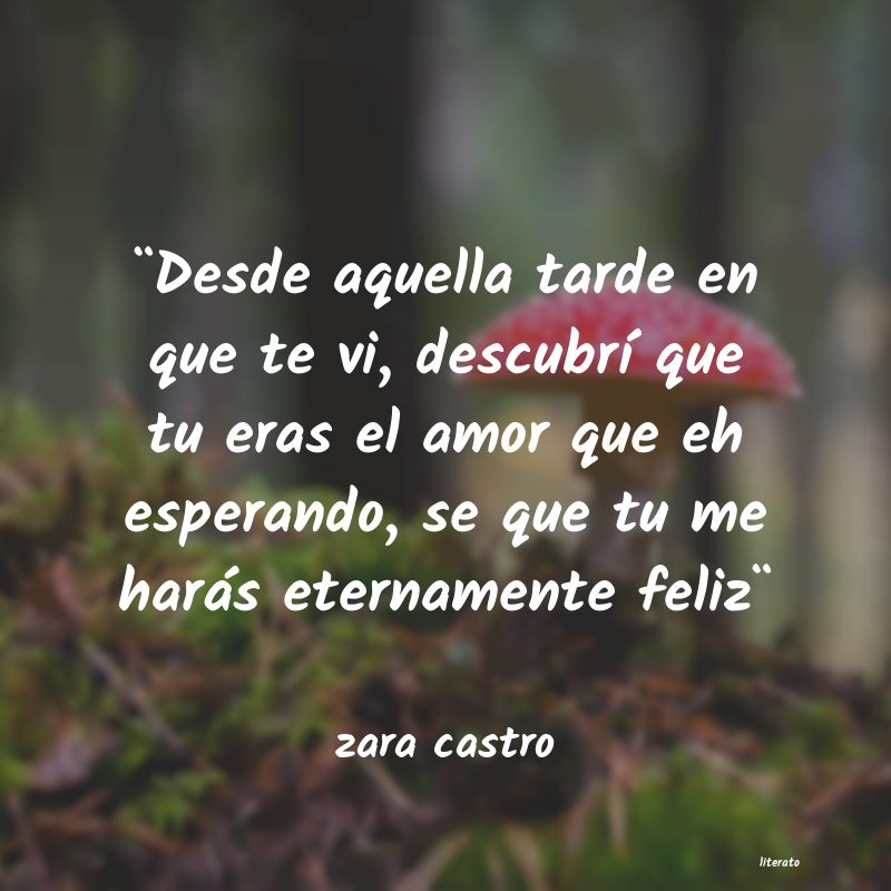 Frases de zara castro