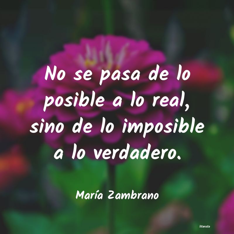 frases de MarÃa Zambrano