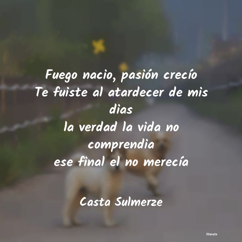 Frases de Casta Sulmerze