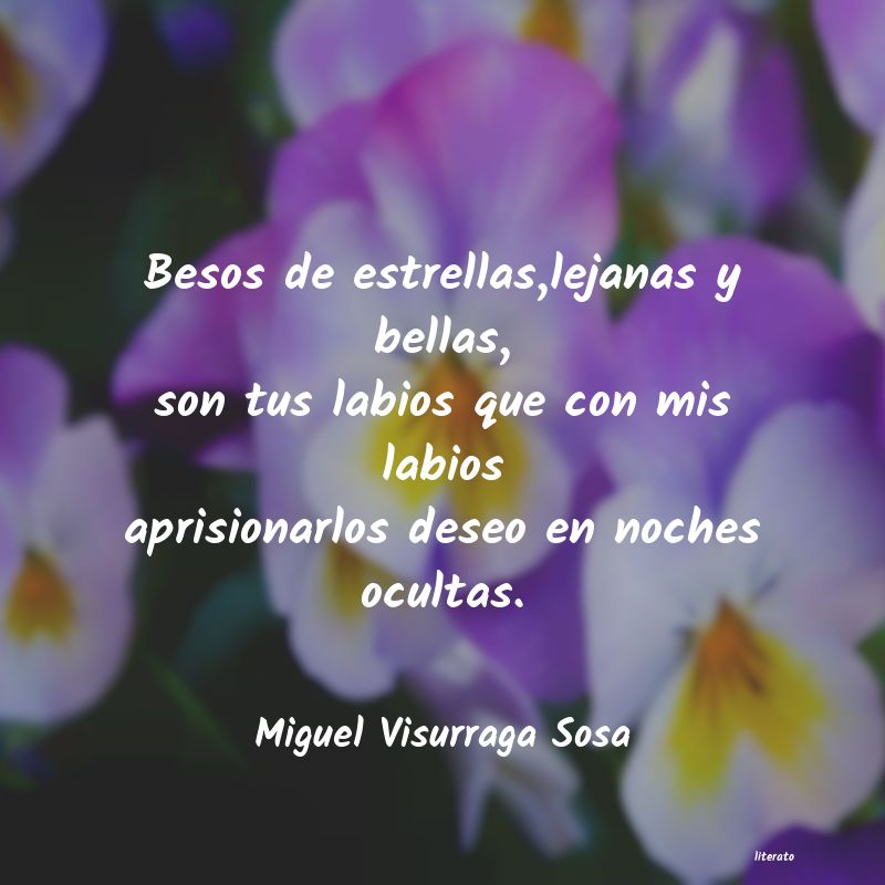 Frases de Miguel Visurraga Sosa