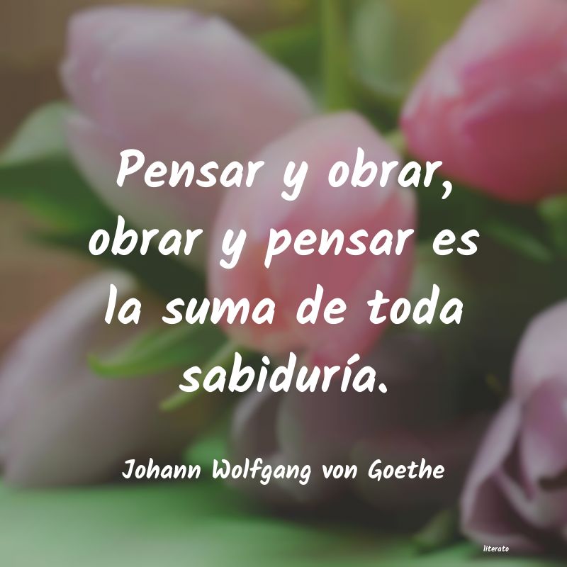 Frases de Johann Wolfgang von Goethe