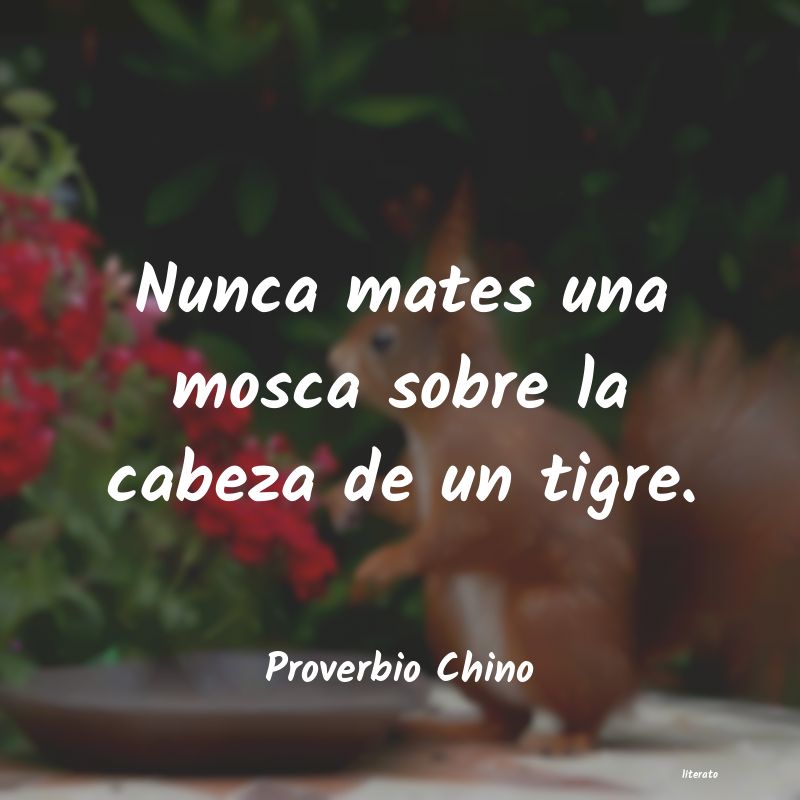 Frases de Proverbio Chino