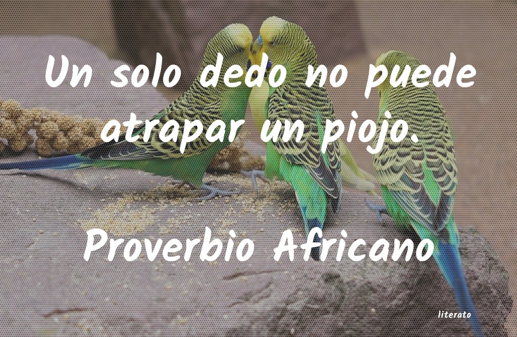 Frases de Proverbio Africano