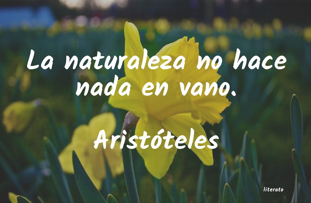 Frases de Aristóteles