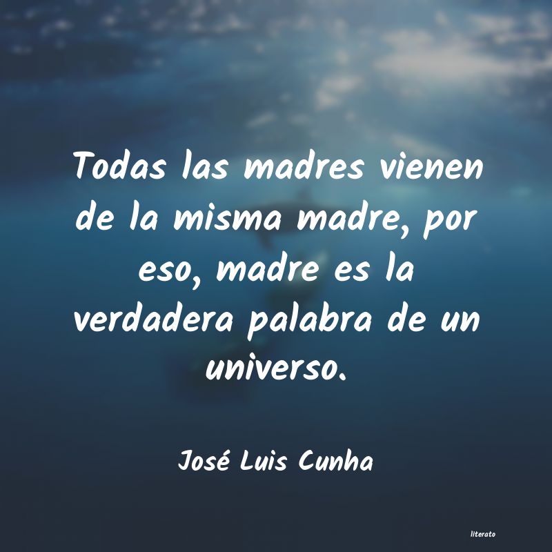 Frases de José Luis Cunha