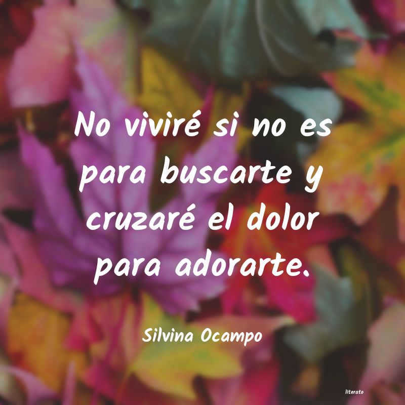 Frases de Silvina Ocampo