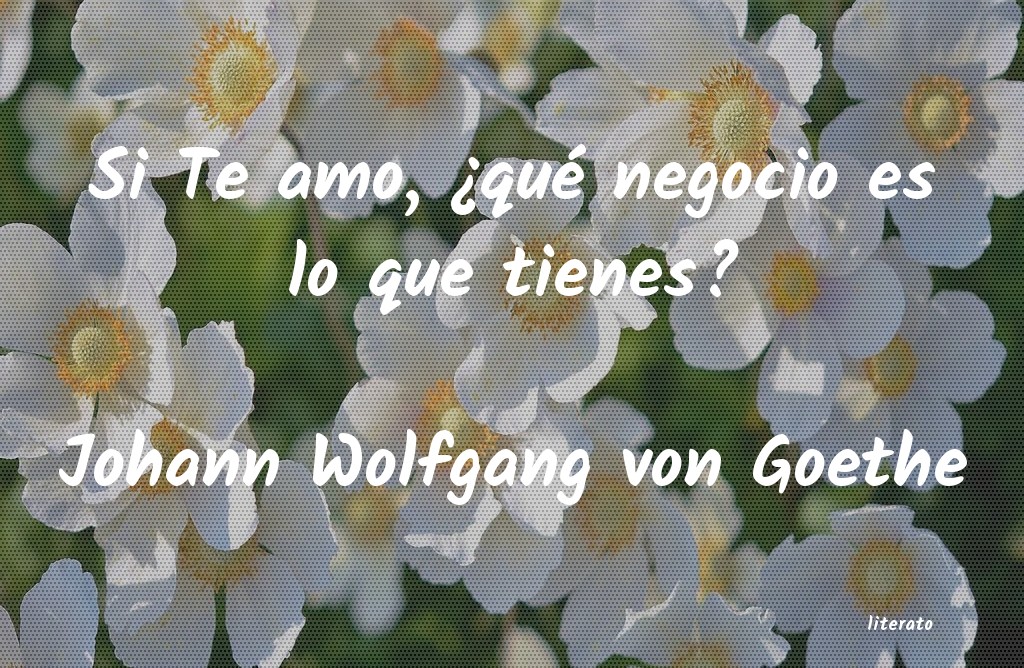 Frases de Johann Wolfgang von Goethe