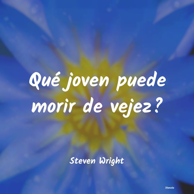 Frases de Steven Wright