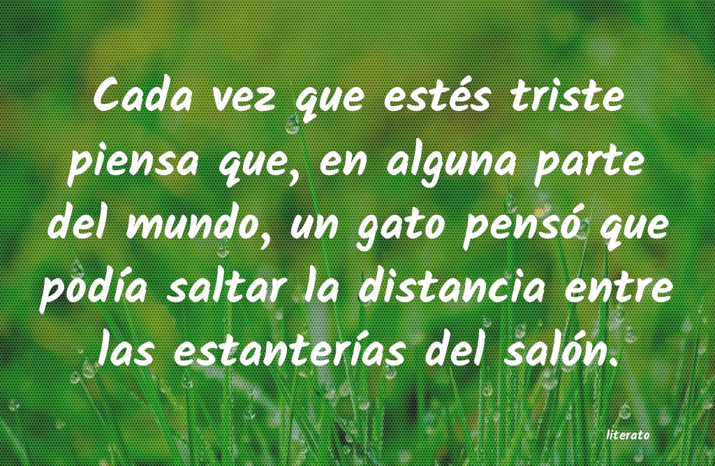 frases
