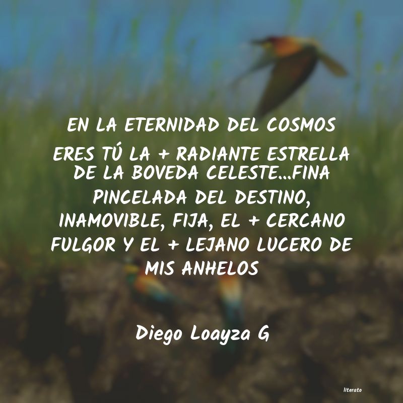 frases de Diego Loayza G