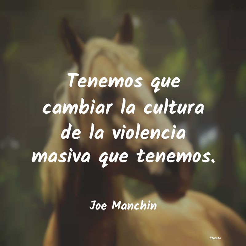 Frases de Joe Manchin