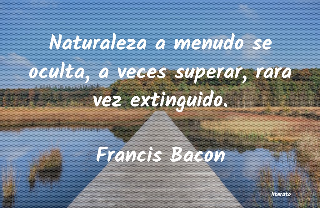 Frases de Francis Bacon