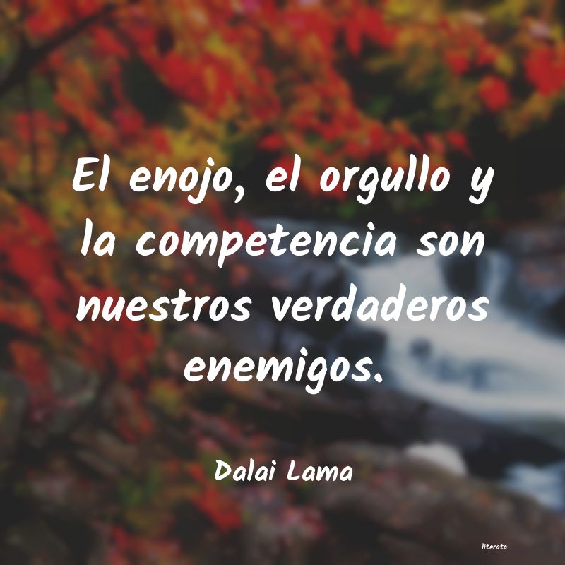 Frases de Dalai Lama