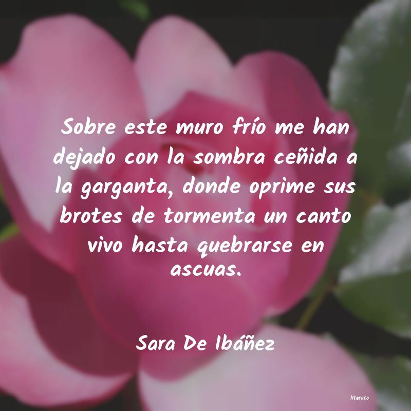 frases de Sara De Ibáñez