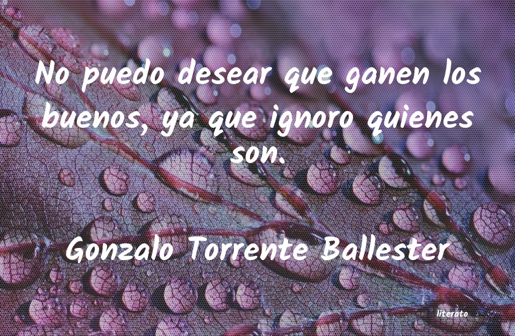 Frases de Gonzalo Torrente Ballester