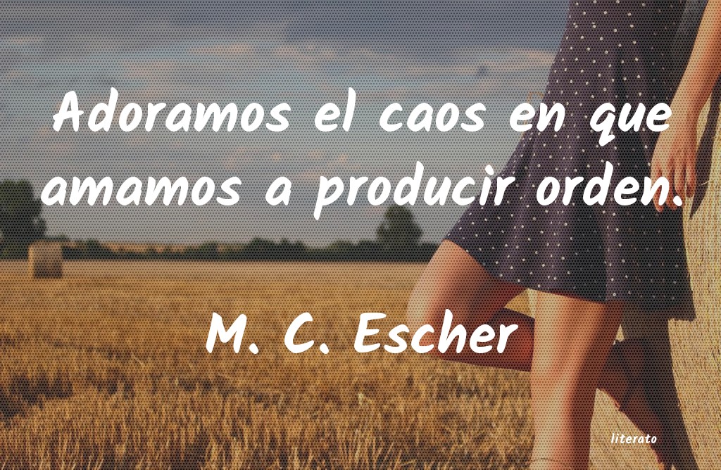 Frases de M. C. Escher