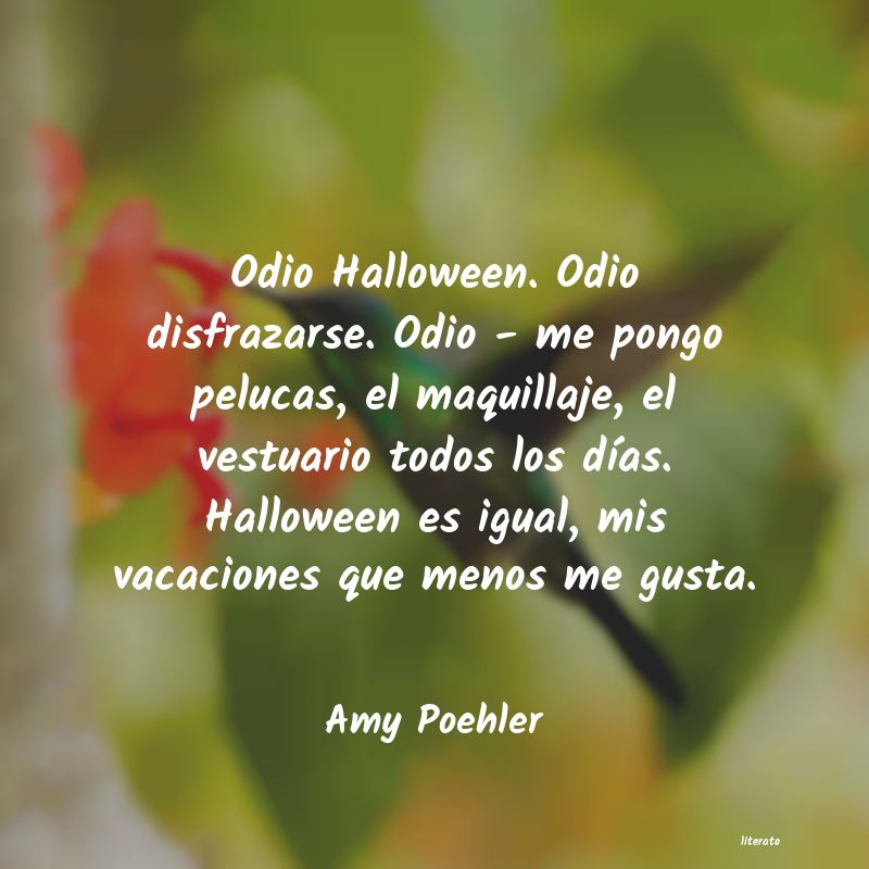 frases de Amy Poehler