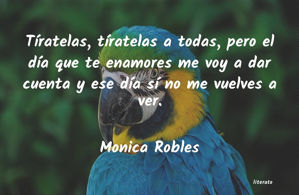 Frases de Monica Robles