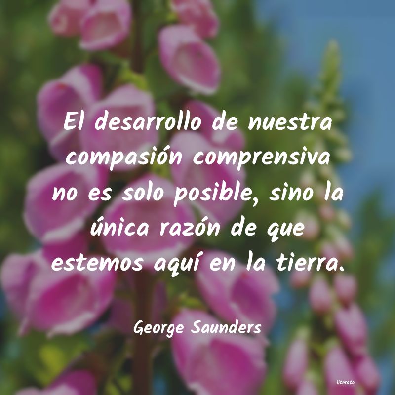 frases de George Saunders