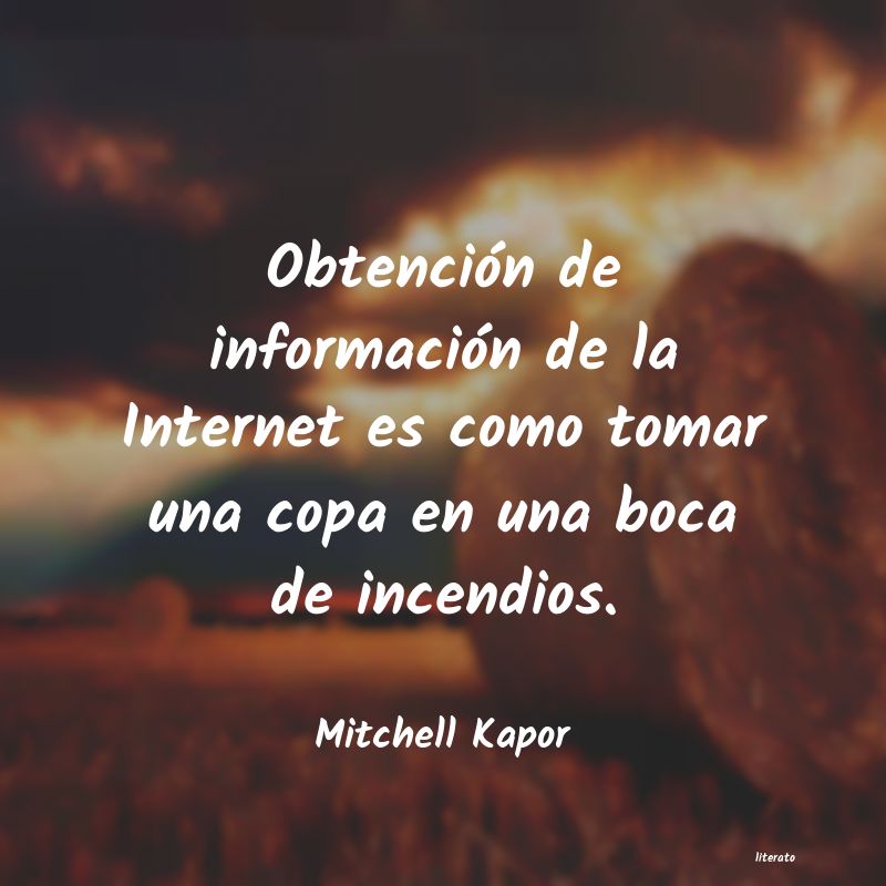 Frases de Mitchell Kapor