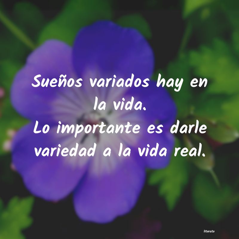 frases
