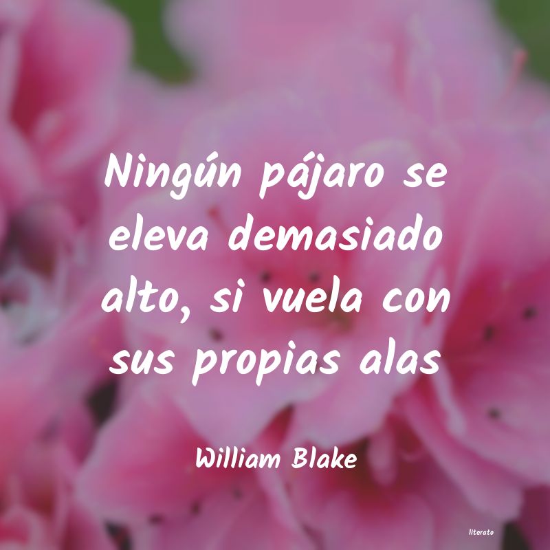 Frases de William Blake