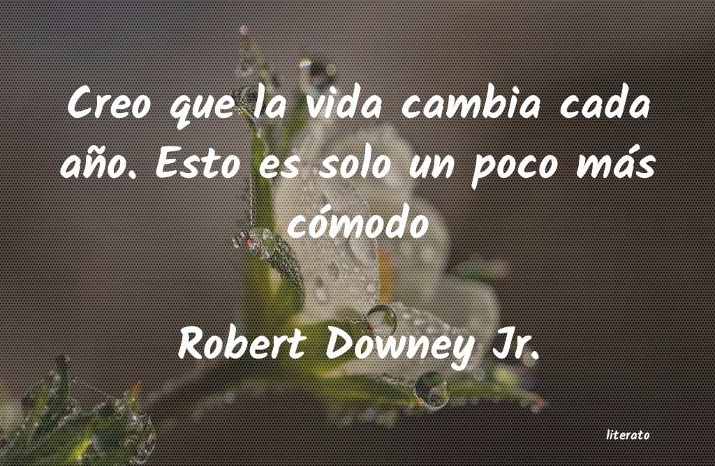 Frases de Robert Downey Jr.