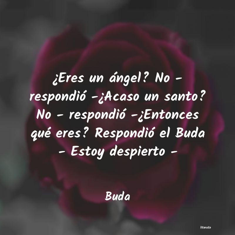 frases cortas de buda