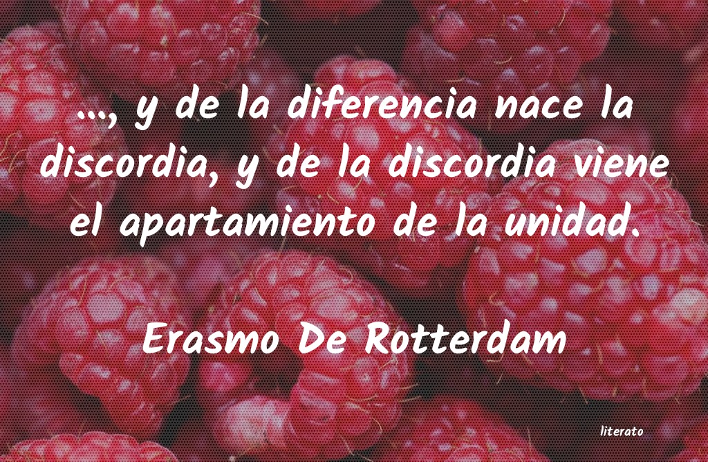frases de Erasmo De Rotterdam