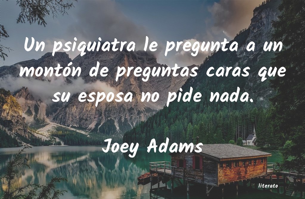 Frases de Joey Adams