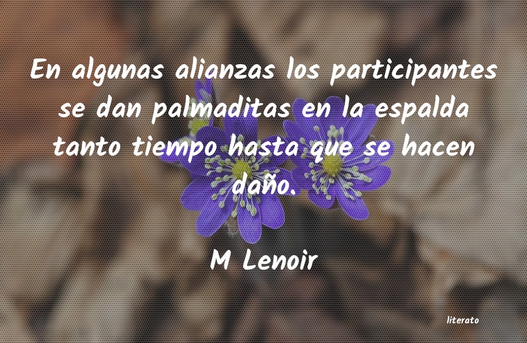 Frases de M Lenoir