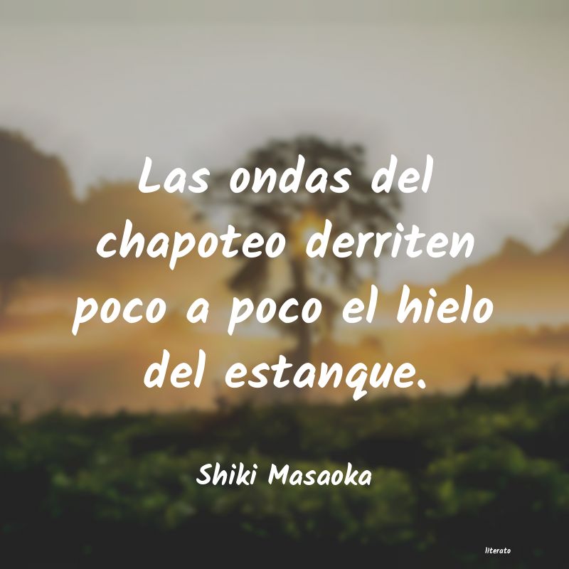 frases de Shiki Masaoka