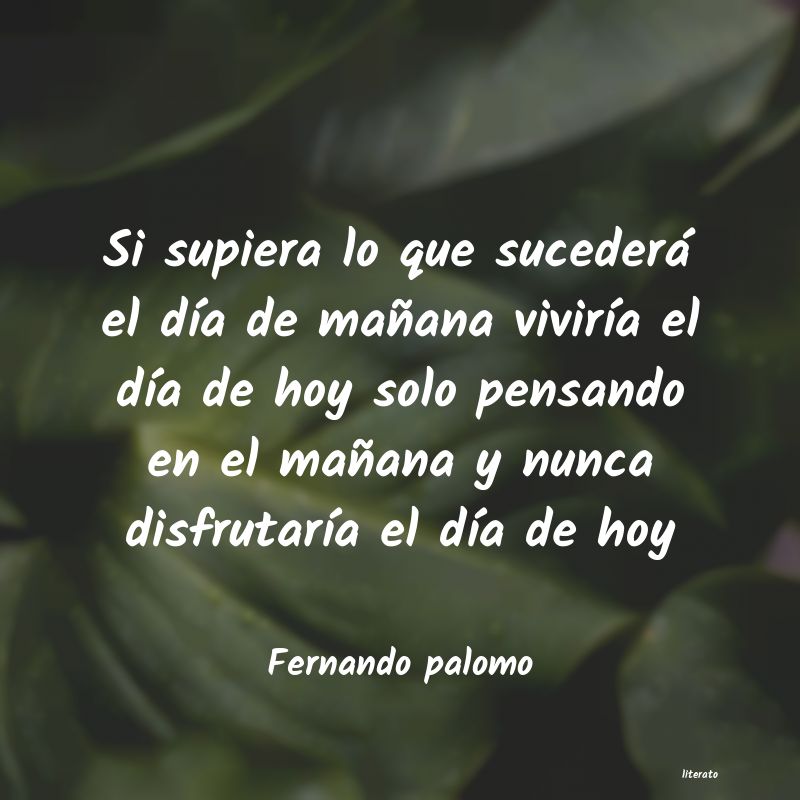 Frases de Fernando palomo