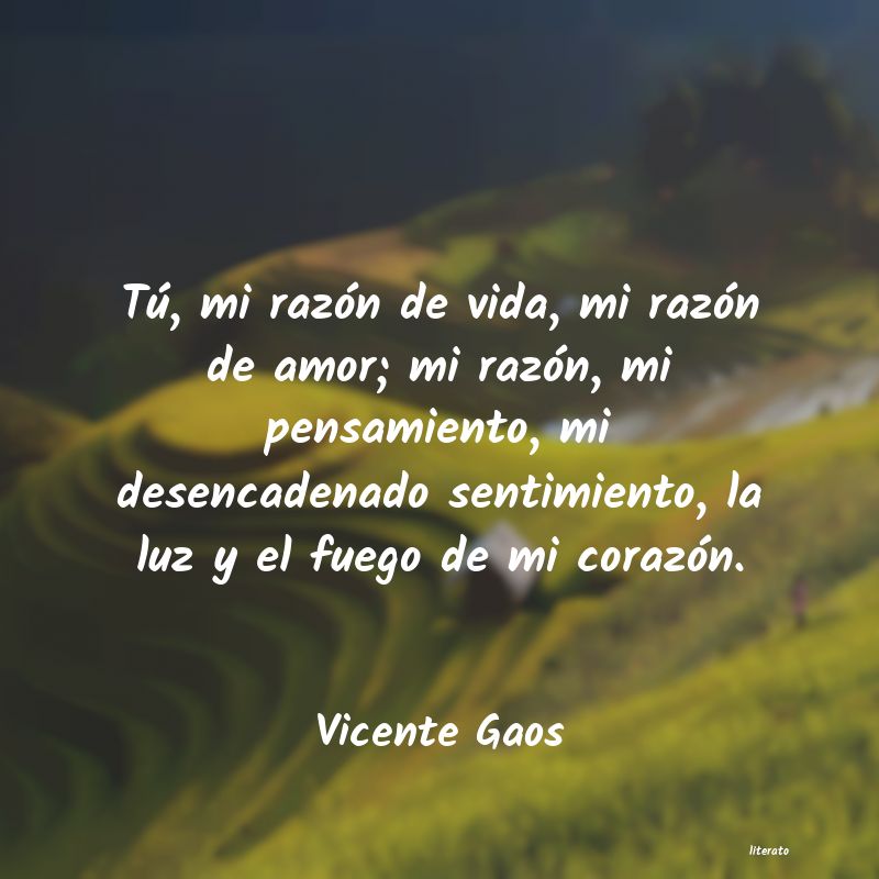 Frases de Vicente Gaos