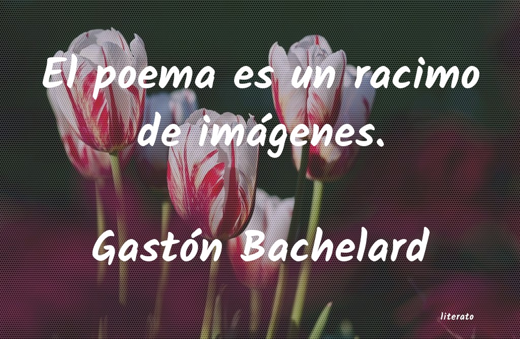 Frases de Gastón Bachelard