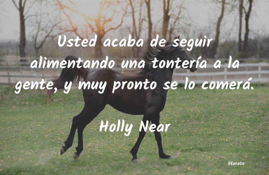 Frases de Holly Near