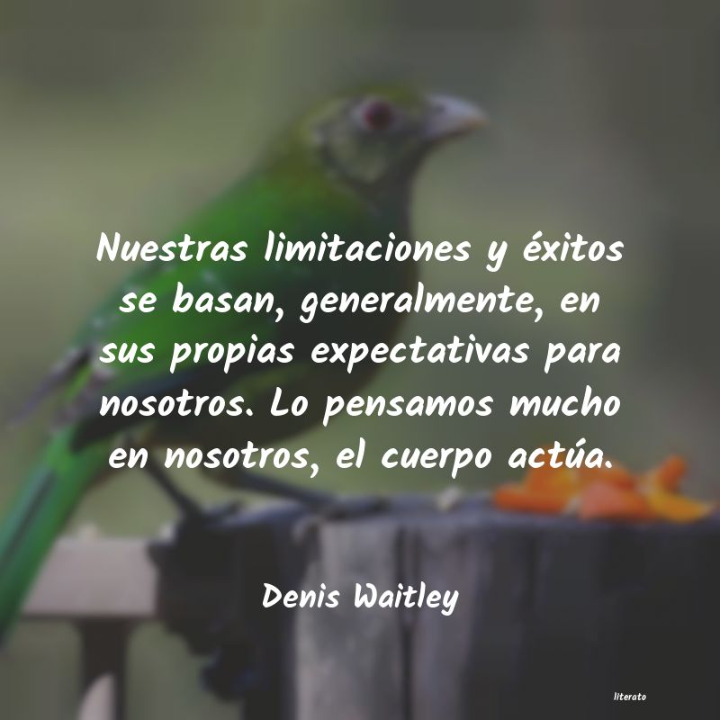 Frases de Denis Waitley