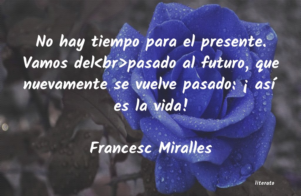 Frases de Francesc Miralles