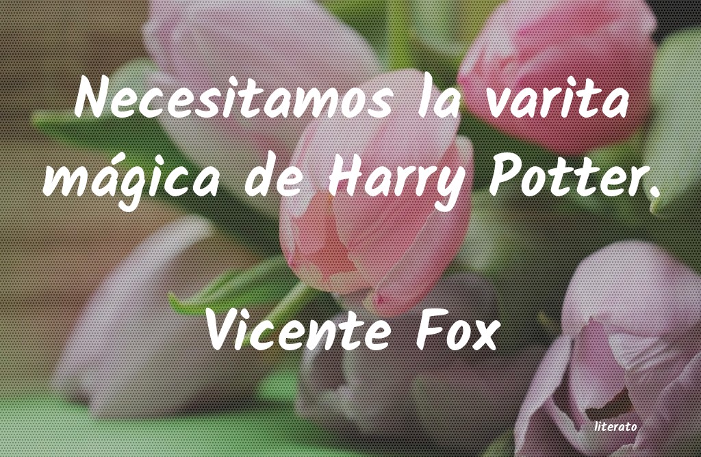 frases de Vicente Fox
