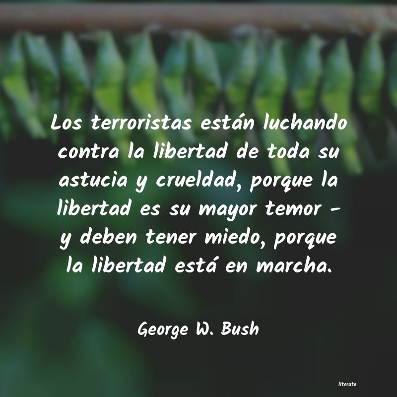 frases de George W. Bush