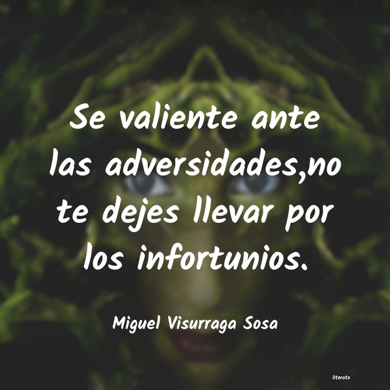 frases de Miguel Visurraga Sosa