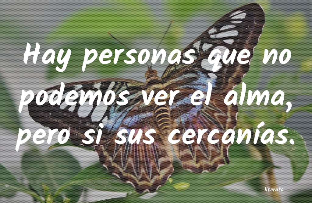 frases