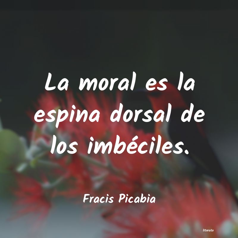 frases de Fracis Picabia