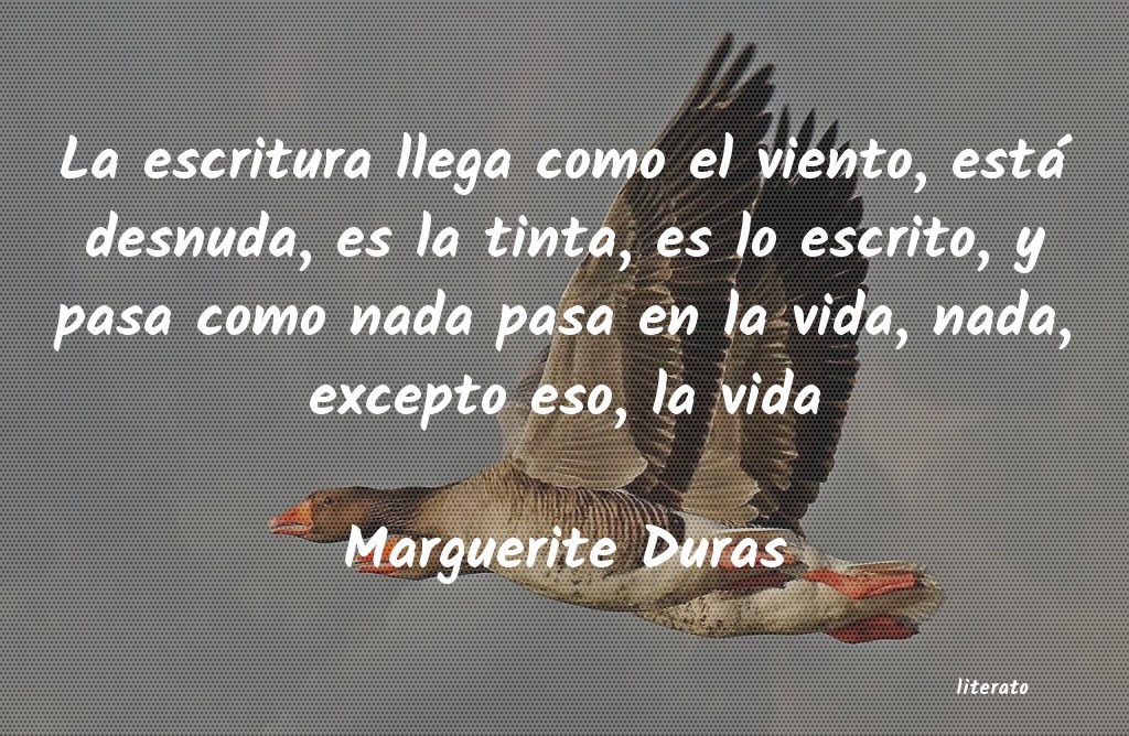 Frases de Marguerite Duras