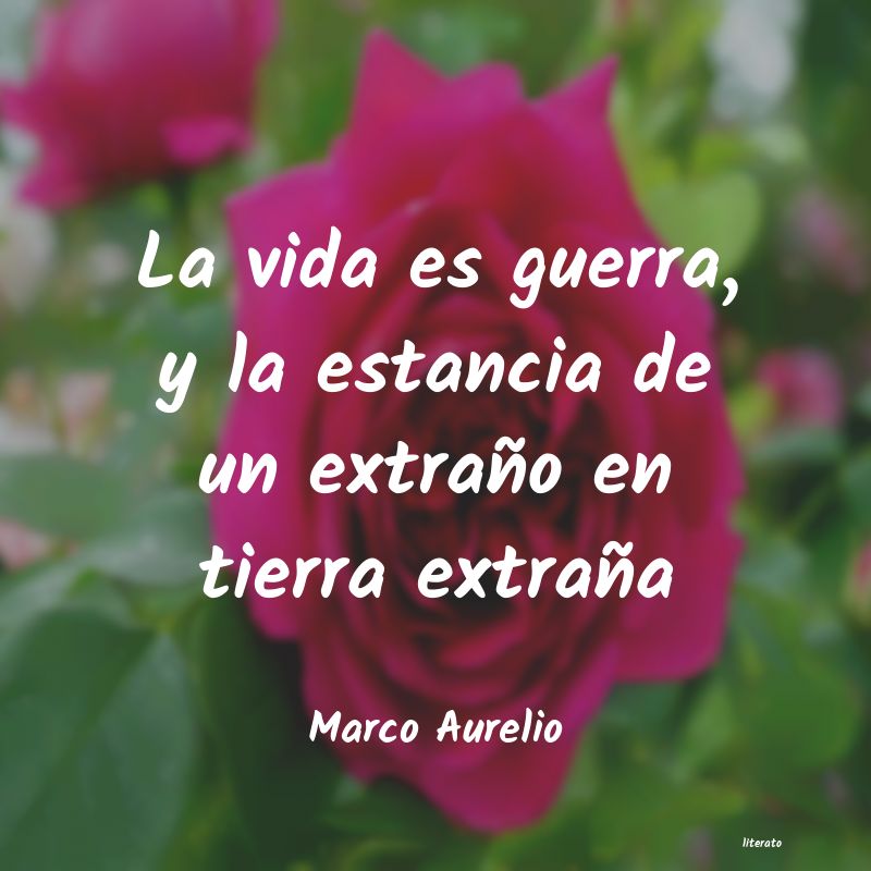 Frases de Marco Aurelio