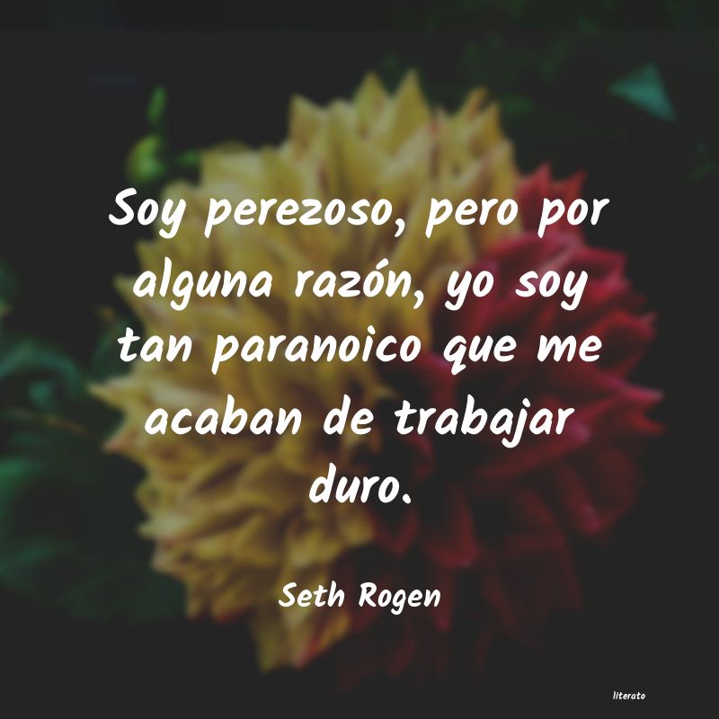 frases de Seth Rogen