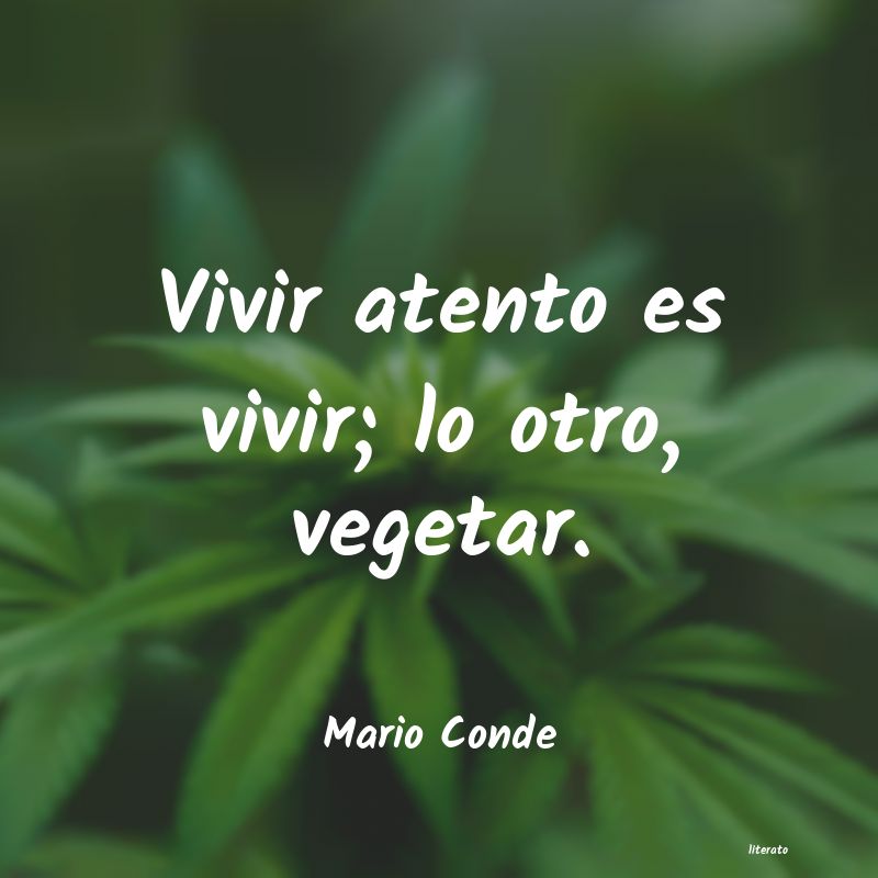 frases de Mario Conde