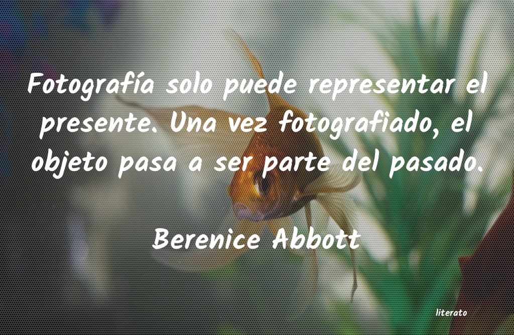 Frases de Berenice Abbott