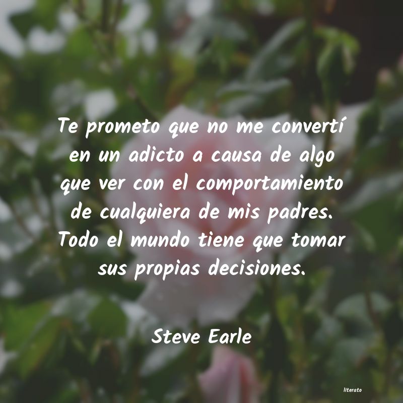 Frases de Steve Earle