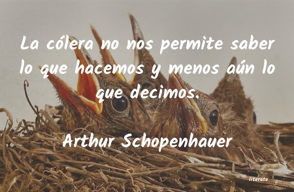 Frases de Arthur Schopenhauer